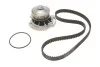 Комплект ГРМ + помпа SEAT IBIZA 2"93-96 SKF VKMC01103 (фото 1)