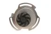 Комплект ГРМ + помпа SEAT IBIZA 2"93-96 SKF VKMC01103 (фото 5)