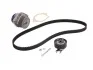 Комплект ГРМ+Помпа SKF VKMC 01106-1