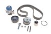 Комплект ГРМ + помпа AUDI/SEAT/SKODA/VW A3/Octavia/Superb/Golf/Jetta/Passat/Touran "2,0TDI "03-15 SKF VKMC01259-1 (фото 1)