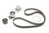 Комплект ГРМ+Помпа SKF VKMC 02194