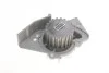 Комплект ГРМ + помпа CITROEN/FIAT/PEUGEOT Berling/C5/Evasion/Xsara/Ducato/406/Boxer "2,0D "98>> SKF VKMC 03246 (фото 2)