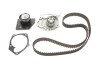 Комплект ГРМ + помпа RENAULT Megane ''1.9dCi ''08-15 VKMC06008
