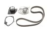 Комплект ГРМ + помпа RENAULT Megane ''1.9dCi ''08-15 SKF VKMC06008 (фото 1)