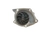 Комплект ГРМ + помпа NISSAN/OPEL/RENAULT Primastar/Movano/Masterr/Laguna "1,9-2,0D "95>> SKF VKMC 06127 (фото 7)