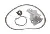 Комплект ГРМ, ремень+ролик+помпа SKF VKMC 90008