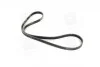 Ремень поликлиновый(приводной) SKF VKMV 5PK1300