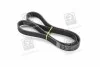 Ремень поликлиновый(приводной) SKF VKMV 6PK1117 (фото 1)