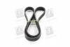 Ремень поликлиновый(приводной) SKF VKMV 6PK1117 (фото 2)