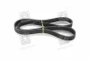 Ремень поликлиновый(приводной) SKF VKMV 6PK1117 (фото 3)