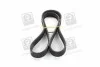 Ремень поликлиновый(приводной) SKF VKMV 6PK1117 (фото 4)