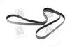 Ремень поликлиновый(приводной) SKF VKMV 6PK2270 (фото 3)