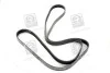 Ремень поликлиновый(приводной) SKF VKMV 6PK2270 (фото 4)