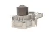 Помпа (водяной насос) SKF VKPC 98003 (фото 4)