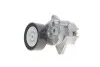 Натяжитель ремня генератора SOLGY Solgy 110010 (фото 1)
