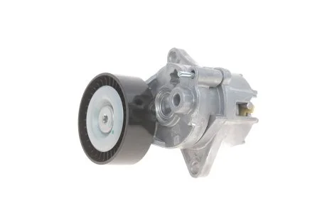 Натяжитель ремня генератора SOLGY Solgy 110010