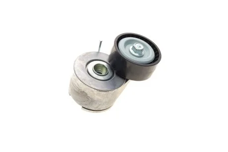 Натяжник ременя генератора SOLGY Solgy 110161