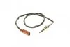 Датчик температуры дымовых газов SOLGY Solgy 115084 (фото 1)