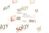 Рычаг подвески SOLGY Solgy 204041 (фото 3)