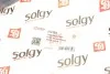 Рычаг подвески SOLGY Solgy 204124 (фото 2)