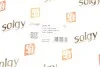 Рычаг подвески SOLGY Solgy 204134 (фото 2)