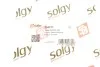 Рычаг подвески Solgy 204137 (фото 3)