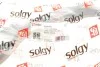 Рычаг подвески SOLGY Solgy 204142 (фото 2)