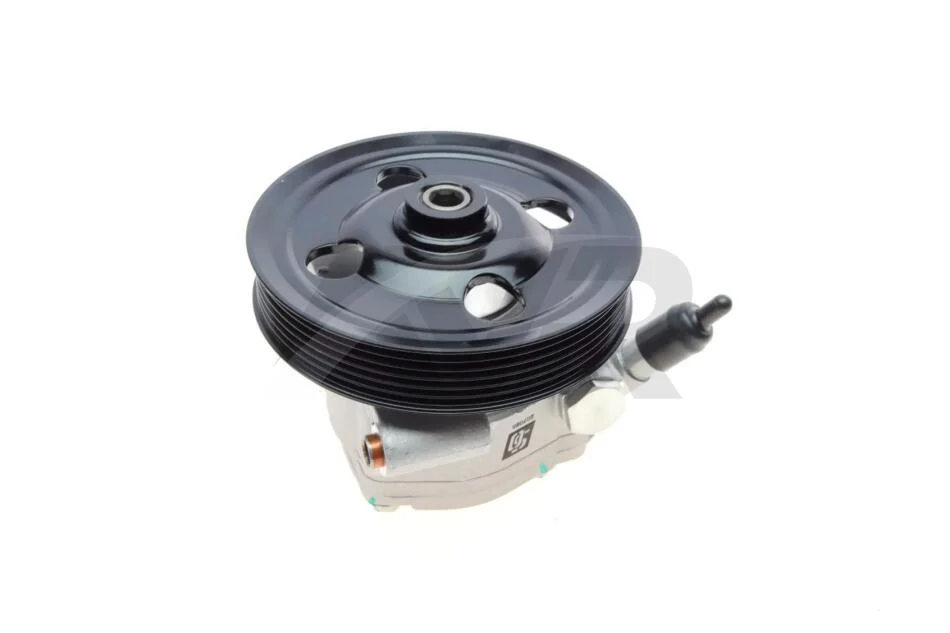 Насос гідропідсилювача SOLGY Solgy 207088 (фото 1)