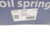 Пружина подвески Solgy 212003 (фото 3)