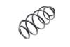 Пружина подвески Solgy 212050 (фото 1)