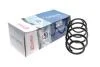 Пружина подвески SOLGY Solgy 212050 (фото 2)