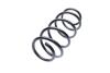 Пружина подвески Solgy 212053 (фото 1)