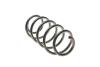 Пружина подвески Solgy 212060 (фото 3)