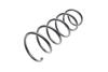 Пружина подвески Solgy 212071 (фото 1)