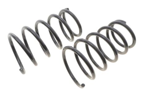 Пружина (задня) Nissan X-Trail 2.0/2.0 4x4/2.2DCi/Di/2.5 4x4 01-13 Solgy 212134