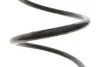 Пружина (задня) Renault Laguna III 1.5dCi/2.0dCi/1.6 16V/2.0 16V 07-15 Solgy 212143 (фото 3)