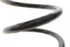 Пружина (задня) Nissan Qashqai 1.5dCi/1.6/dCi/2.0/dCi 07-14 Solgy 212147 (фото 3)