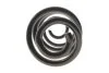 Пружина (задня) Nissan Qashqai 1.5dCi/1.6/dCi/2.0/dCi 07-14 Solgy 212147 (фото 4)