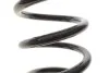 Пружина (задня) Toyota Rav 4 III 2.0 4WD/2.2 D 4WD 05-13 Solgy 212148 (фото 3)