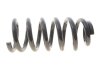 Пружина підвіски Solgy 212152 (фото 1)