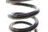 Пружина підвіски Solgy 212152 (фото 2)