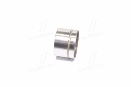 Гидрокомпенсатор Actyon (06-) E23 / Kyron (06-) E23, E32 / Rexton (02-) E23, E28, E32 SsangYong SSANGYONG 1040501225