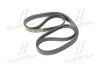 Пас поліклиновий 6РК2245 SSANGYONG 6659970392 (фото 1)