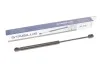 Пружина газова AUDI A8 07/03-07/10 STABILUS 023619 (фото 1)