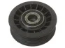 Натяжной ролик STARLINE RS B02510 (фото 1)