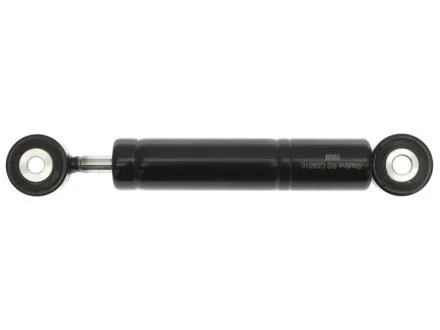 Натяжитель приводного ремня STARLINE RS C09510