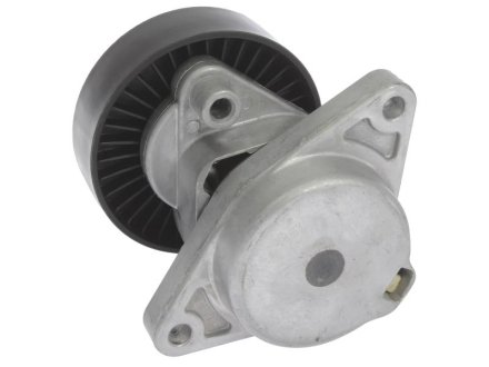 Натяжитель приводного ремня STARLINE RS D11420