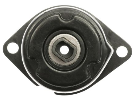 Натяжитель приводного ремня STARLINE RS D18810