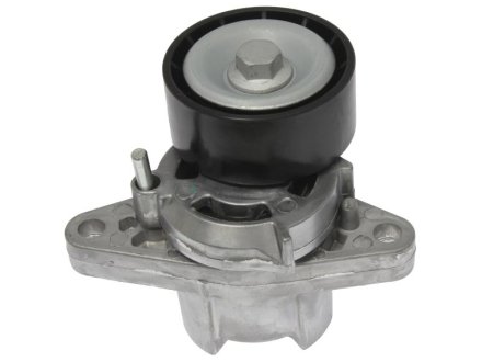 Натяжитель приводного ремня STARLINE RS D27110