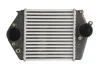 Интеркуллер THERMOTEC DA3002TT (фото 1)